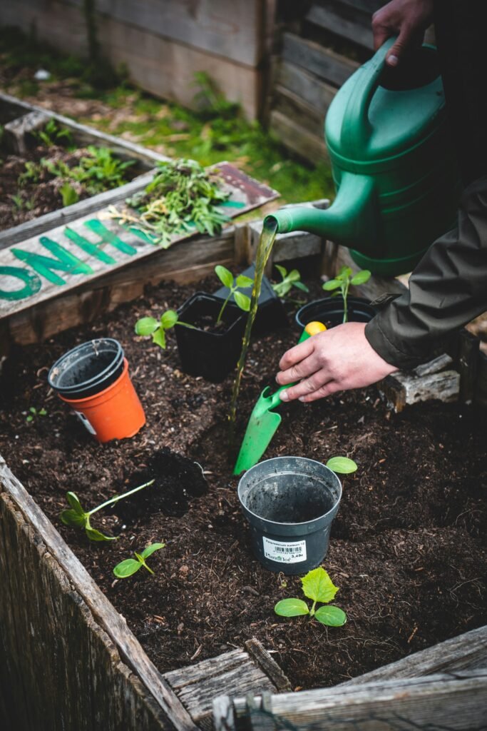 Herramientas esenciales para el cuidado de tu jardín.